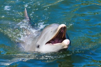  Florida Keys 1 