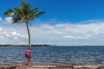  South Miami 